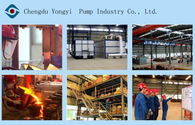 Chengdu Yongyi Pump Industry Co., Ltd.